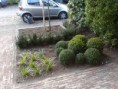 /album/fotogalerij1/broeren-6-jpg/